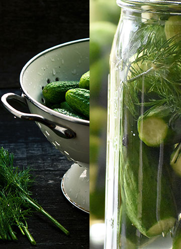 Homemade Fermented Pickles